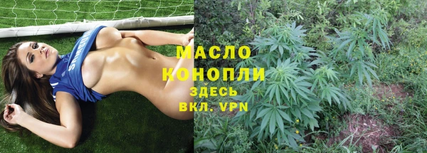 гашик Гусев