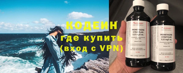 гашик Гусев